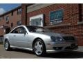 Brilliant Silver Metallic - CL 500 Photo No. 10