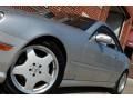 Brilliant Silver Metallic - CL 500 Photo No. 13