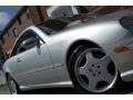 Brilliant Silver Metallic - CL 500 Photo No. 15