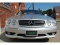 Brilliant Silver Metallic - CL 500 Photo No. 18