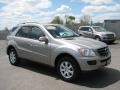 2006 Pewter Metallic Mercedes-Benz ML 350 4Matic  photo #3