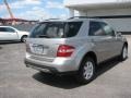 2006 Pewter Metallic Mercedes-Benz ML 350 4Matic  photo #4