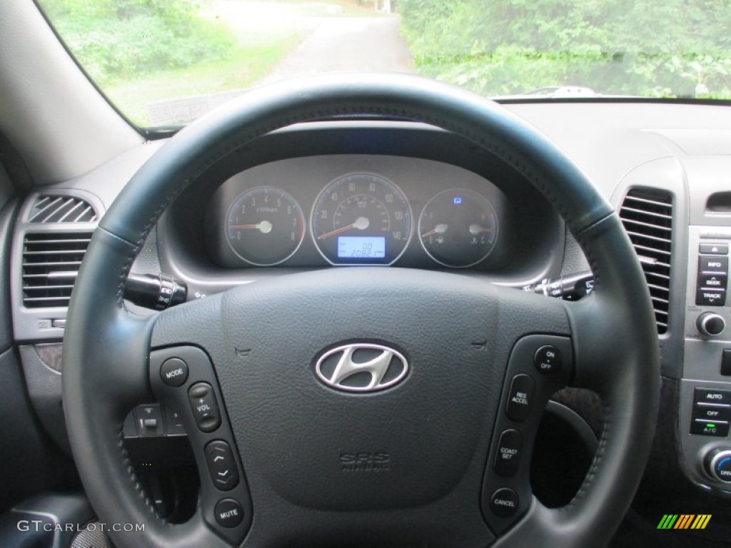 2009 Hyundai Santa Fe Limited Steering Wheel Photos