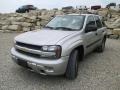 Silverstone Metallic - TrailBlazer LS 4x4 Photo No. 2