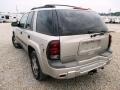 Silverstone Metallic - TrailBlazer LS 4x4 Photo No. 18