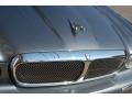 2006 Quartz Metallic Jaguar XJ Vanden Plas  photo #93