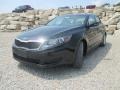 Ebony Black - Optima LX Photo No. 2