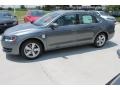 2014 Platinum Gray Metallic Volkswagen Passat 1.8T SE  photo #4