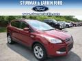 2014 Sunset Ford Escape SE 1.6L EcoBoost 4WD  photo #1