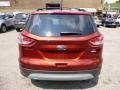 2014 Sunset Ford Escape SE 1.6L EcoBoost 4WD  photo #3