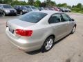 Moonrock Silver Metallic - Jetta TDI Sedan Photo No. 6