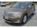 Golden Umber Mica - Venza I4 AWD Photo No. 2