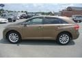 Golden Umber Mica - Venza I4 AWD Photo No. 3