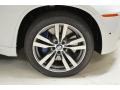 2014 BMW X6 M M xDrive Wheel and Tire Photo