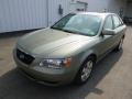 2008 Natural Khaki Green Hyundai Sonata GLS V6  photo #2