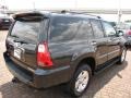 Black - 4Runner SR5 Photo No. 13