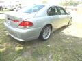 2003 Titanium Silver Metallic BMW 7 Series 745i Sedan  photo #5