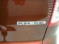 2015 Bronze Fire Ford Explorer XLT  photo #15