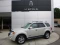 Light Sage Metallic 2008 Ford Escape Limited 4WD
