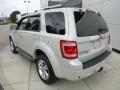 Light Sage Metallic - Escape Limited 4WD Photo No. 3