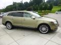 2013 Ginger Ale Lincoln MKT EcoBoost AWD  photo #6