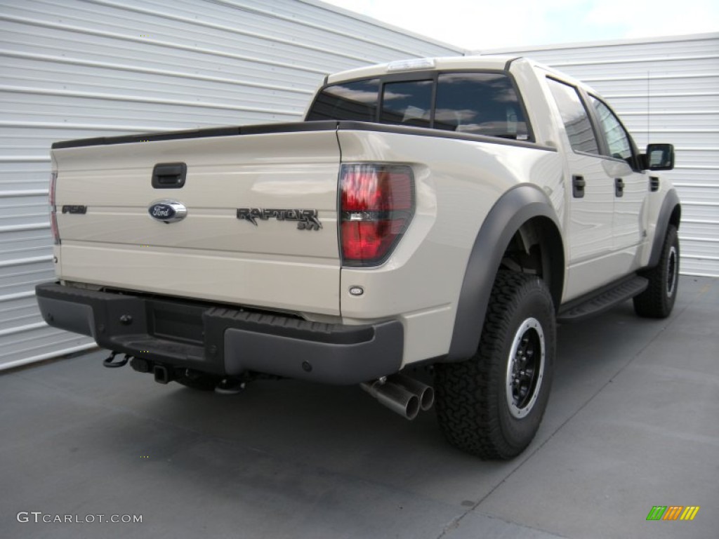 2014 F150 SVT Raptor SuperCrew 4x4 - Terrain / Raptor Black photo #4