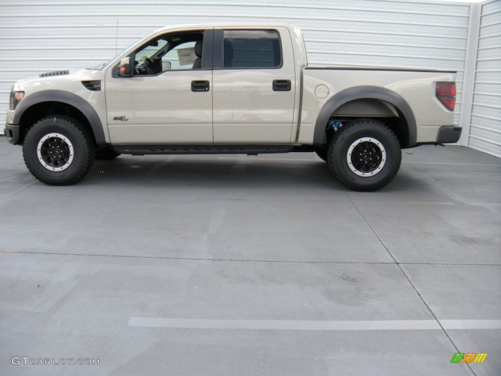 2014 F150 SVT Raptor SuperCrew 4x4 - Terrain / Raptor Black photo #6