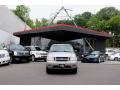 Silver Birch Metallic - Explorer Sport Trac XLT 4x4 Photo No. 2
