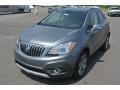 Satin Steel Gray Metallic - Encore Convenience Photo No. 2