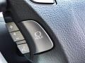 Mercury Silver Metallic - LS 460 Photo No. 12