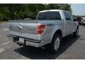 2014 Ingot Silver Ford F150 Platinum SuperCrew 4x4  photo #8