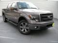 2014 Sterling Grey Ford F150 FX4 SuperCrew 4x4  photo #1