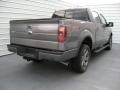 2014 Sterling Grey Ford F150 FX4 SuperCrew 4x4  photo #4