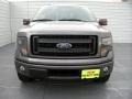 2014 Sterling Grey Ford F150 FX4 SuperCrew 4x4  photo #8