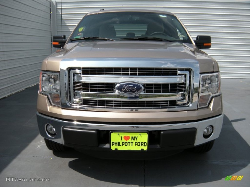 2014 F150 XLT SuperCrew - Pale Adobe / Pale Adobe photo #8