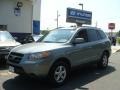 Platinum Sage 2008 Hyundai Santa Fe GLS 4WD