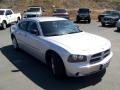 Bright Silver Metallic - Charger SE Photo No. 7