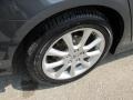 Carbon Gray Pearl - TSX Sedan Photo No. 8