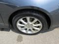 Carbon Gray Pearl - TSX Sedan Photo No. 10