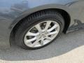 Carbon Gray Pearl - TSX Sedan Photo No. 14