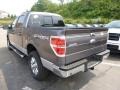 Sterling Grey - F150 XLT SuperCrew 4x4 Photo No. 4