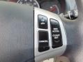 2009 Regatta Blue Hyundai Elantra GLS Sedan  photo #16