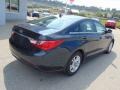 Pacific Blue Pearl - Sonata GLS Photo No. 8
