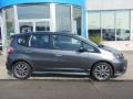 Polished Metal Metallic - Fit Sport Photo No. 2