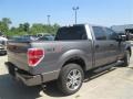 2014 Sterling Grey Ford F150 STX SuperCrew  photo #1