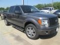 Sterling Grey - F150 STX SuperCrew Photo No. 4