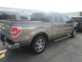 Sterling Grey 2014 Ford F150 Gallery