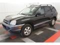 2005 Black Obsidian Hyundai Santa Fe GLS 4WD  photo #10