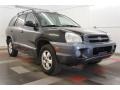 2005 Black Obsidian Hyundai Santa Fe GLS 4WD  photo #13