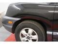 2005 Black Obsidian Hyundai Santa Fe GLS 4WD  photo #62